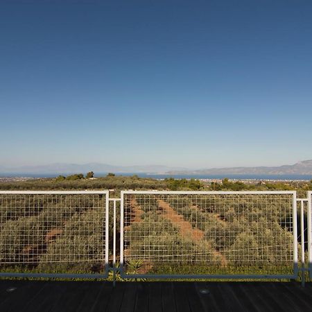 Country Villa Peloponnese With Tennis Court And Pool Zevgolateion Luaran gambar