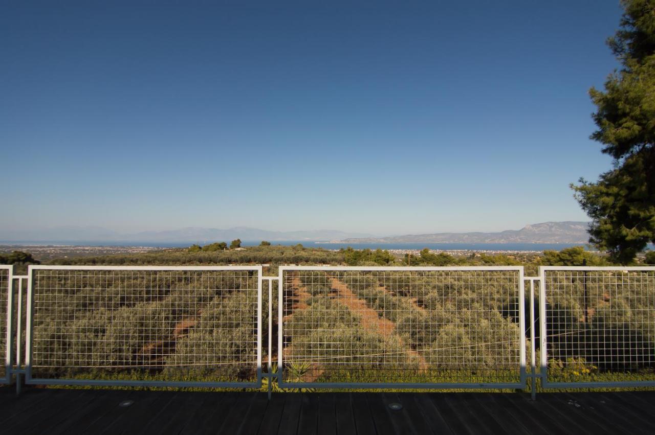 Country Villa Peloponnese With Tennis Court And Pool Zevgolateion Luaran gambar